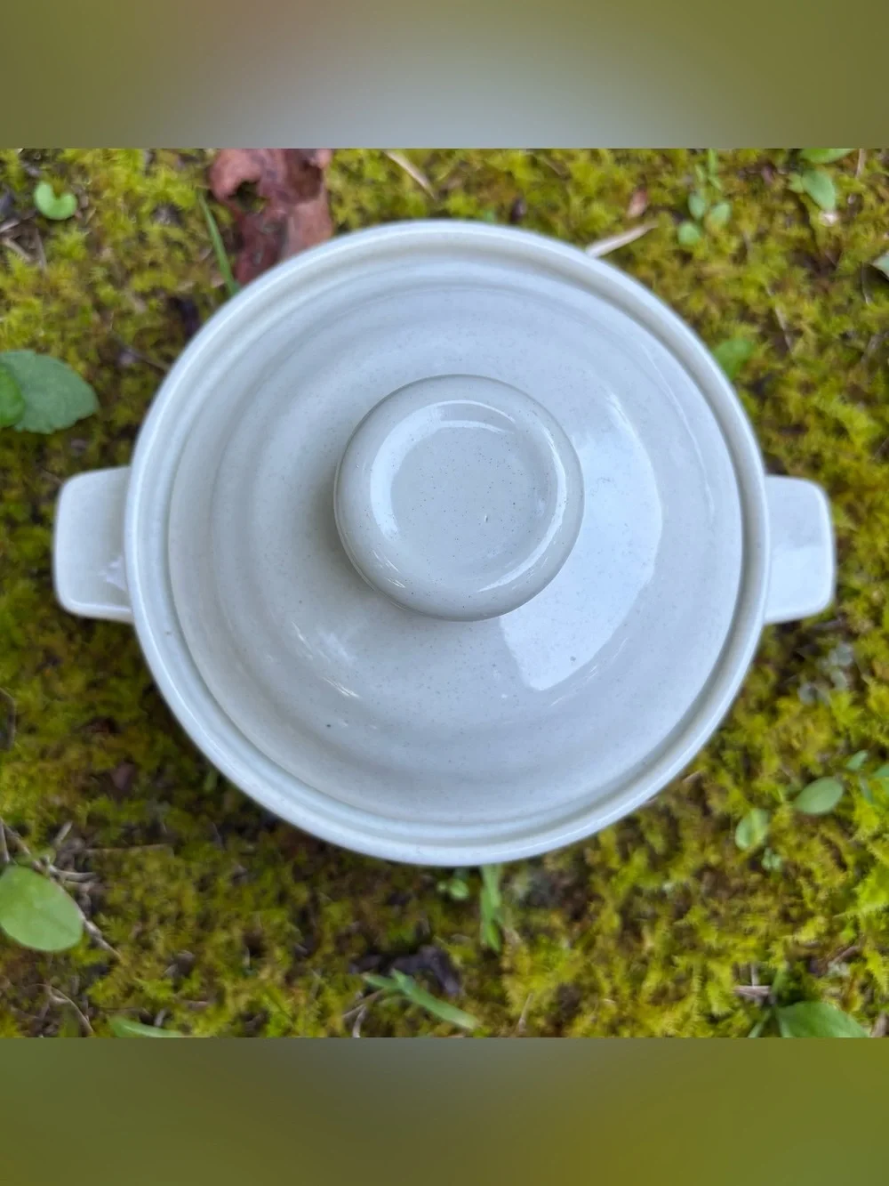 Vintage 1980 Heavenly Bake, Serve 'n Store Stoneware Dishes with Lids - Set of 2